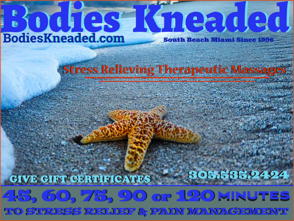 Sand Dollar | Bodies Kneaded @ Bodies Kneaded Massage Spa  South Beach Miami Since 1996  www.BodiesKneaded.com  305.535.2424  